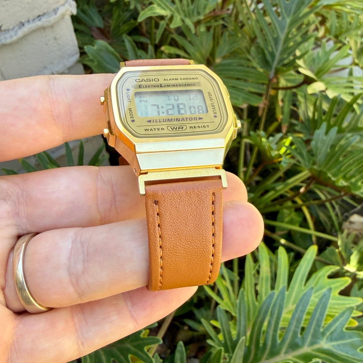 The Casio A168WG Gold - Why This $60 Watch Has a Cult Following