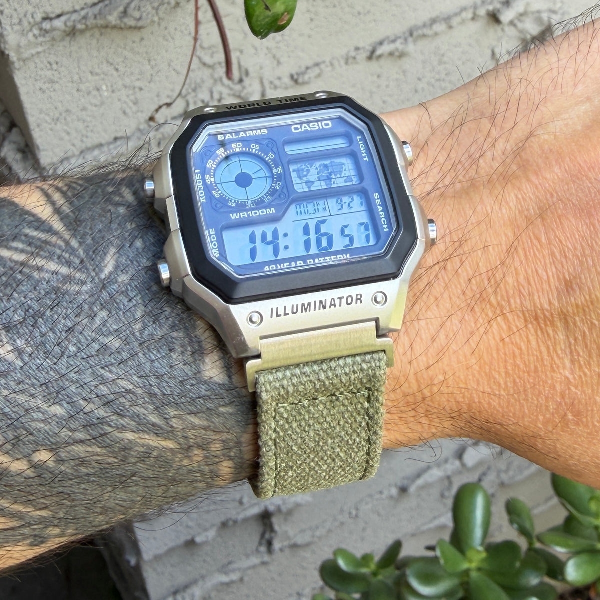 Olive Canvas Strap for Casio F-91W A158W A168W AE-1200WH Royale, Brushed Silver Buckle, 18mm Adapters Pre-Attached
